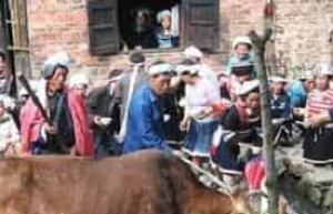 苗族习俗，苗族人的丧葬习俗究竟是什么样的_民俗文化 菊江历史网