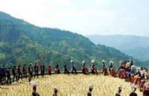 苗族传统节日，苗族的吃新节的历史是什么_民俗文化 菊江历史网