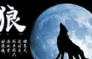 维吾尔族图腾，维吾尔族的“狼”图腾是怎么来的_民俗文化 菊江历史网