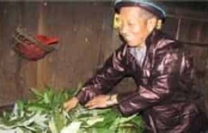 瑶族药文化，贵州瑶族的药浴又是什么样的_民俗文化 菊江历史网