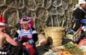 瑶族药文化，瑶族人是怎样草药治病救人的_民俗文化 菊江历史网