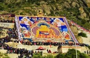 藏族节日，藏族喝酸奶子的节日是什么节日_民俗文化 菊江历史网