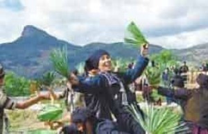 哈尼族的棕扇舞是怎样跳的，有何历史_民俗文化 菊江历史网