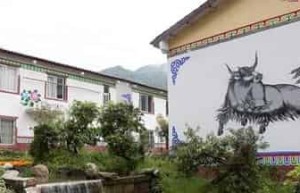 藏族图腾，藏族图腾代表着什么含义_民俗文化 菊江历史网