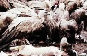 藏族习俗，探秘古老而神秘的藏族天葬_民俗文化 菊江历史网