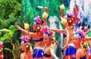 哈尼族共有多少种舞蹈，其舞蹈有啥风格_民俗文化 菊江历史网