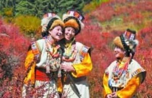 藏族民歌，藏族的民歌主要有几类有什么特点_民俗文化 菊江历史网