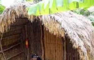 黎族人是怎样发展至今的，黎族历史简介_民俗文化 菊江历史网