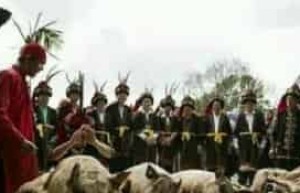 揭秘：黎族不同地区的丧葬习俗有何不同_民俗文化 菊江历史网