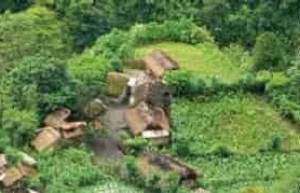 黎族当年是怎样砍山栏的，黎族农业简介 菊江历史网