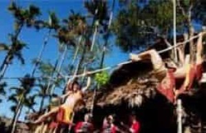 揭秘：黎族那些有趣的传统体育项目 菊江历史网