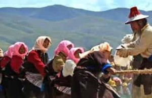 藏式拔河：藏族押加是什么运动有什么特色 菊江历史网