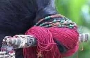 黎族服饰，黎族女子佩戴的人形骨簪是什么样的 菊江历史网