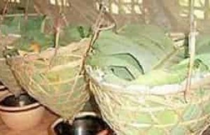 黎族特色的山兰米酒是怎样酿成的 菊江历史网