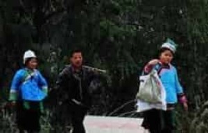 水族的生产习俗有哪些，水族生产习俗简介 菊江历史网