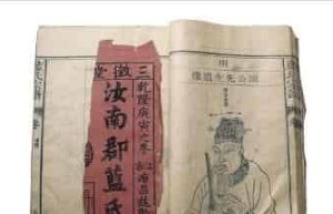 畲族历史，畲族的族谱都记载了哪些内容 菊江历史网