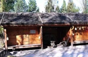 京族的房子是什么样的，京族建筑风格 菊江历史网