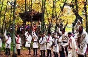 羌族神秘的神林文化有什么古老传说 菊江历史网