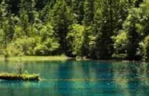 揭秘：羌族九寨沟的五绝究竟是什么 菊江历史网