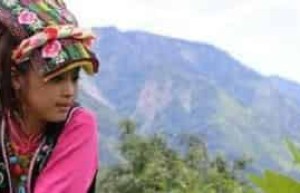 羌族历史，羌族的羊角花有着怎样的历史 菊江历史网