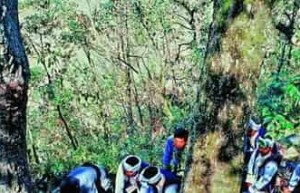 仡佬族文学，仡佬族的民间故事有哪些 菊江历史网