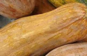 仡佬族民俗，仡佬族的送子之俗是什么习俗 菊江历史网