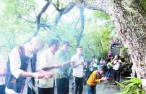 仡佬族节日，仡佬族的拜树节是什么节日 菊江历史网