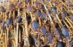 仡佬族节日，仡佬族的吃虫节是什么时候 菊江历史网