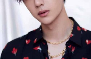 王一博【中国内地流行乐男歌手、演员、男子演唱组合UNIQ成员、职业摩托车赛车手】 – 人物百科