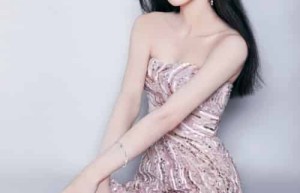 张碧晨【中国内地流行乐女歌手，《中国好声音》年度总冠军】 – 人物百科