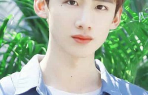 白敬亭【中国内地影视男演员】 – 人物百科