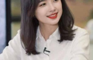 王冰冰【中国内地记者、up主、主持人】 – 人物百科