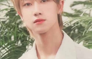 徐明浩【艺名The8，中国流行乐男歌手,韩国男子组合Seventeen成员 】 – 人物百科