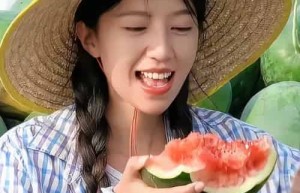 麦小登【本名王晓楠，短视频博主】 – 人物百科