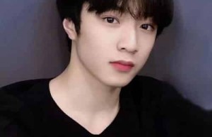 刘耀文【中国内地流行乐男歌手、演员，男子演唱组合时代少年团成员】 – 人物百科