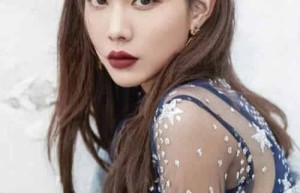 王霏霏【中国内地女歌手、演员、主持人】 – 人物百科