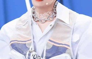 张颜齐【中国内地男歌手、男子演唱组合R1SE成员】 – 人物百科