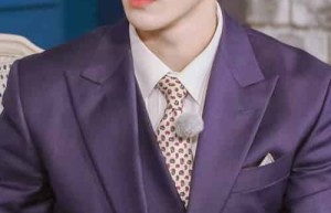 李硕珉【韩国男歌手，男子演唱组合SEVENTEEN成员】 – 人物百科