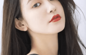 张大奕【中国模特、网络红人，如涵控股联合创始人、CMO，】 – 人物百科