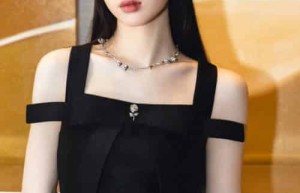 单依纯【中国内地流行乐女歌手】 – 人物百科