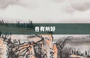 各有所好【各有所好的意思】- 成语大全