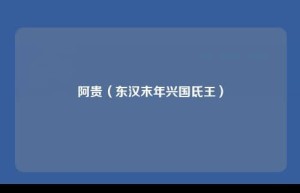 阿贵【东汉末年兴国氐王】 – 人物百科