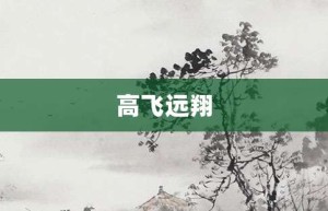 高飞远翔【高飞远翔的意思】- 成语大全