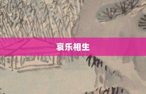 哀乐相生【哀乐相生的意思】- 成语大全