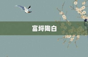 富埒陶白【富埒陶白的意思】- 成语大全