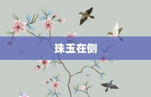 珠玉在侧【珠玉在侧的意思】- 成语大全
