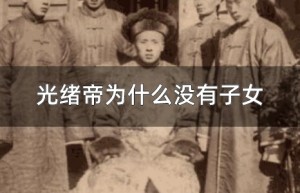 光绪帝为什么没有子女_清朝历史 菊江历史网