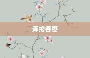 浑抡吞枣【浑抡吞枣的意思】- 成语大全