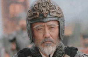 除了三国外，真的还有个独立政权吗？_稗官野史 菊江历史网