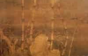 徐熙【中国南唐画家，人称徐家野逸】 – 人物百科